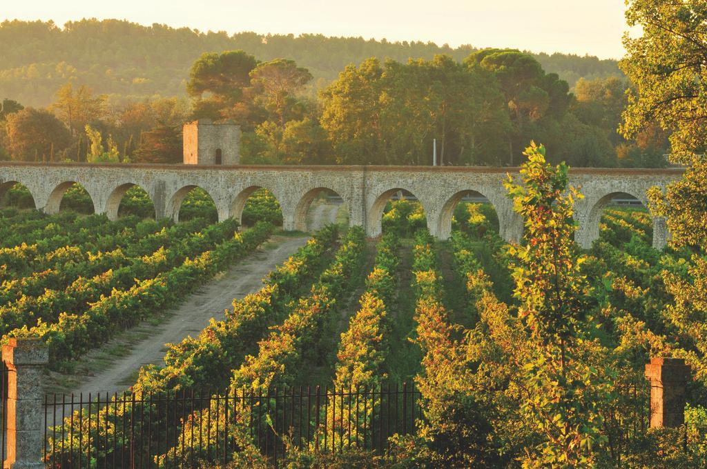 La Residence Du Chateau De Jouarres Azille Zewnętrze zdjęcie